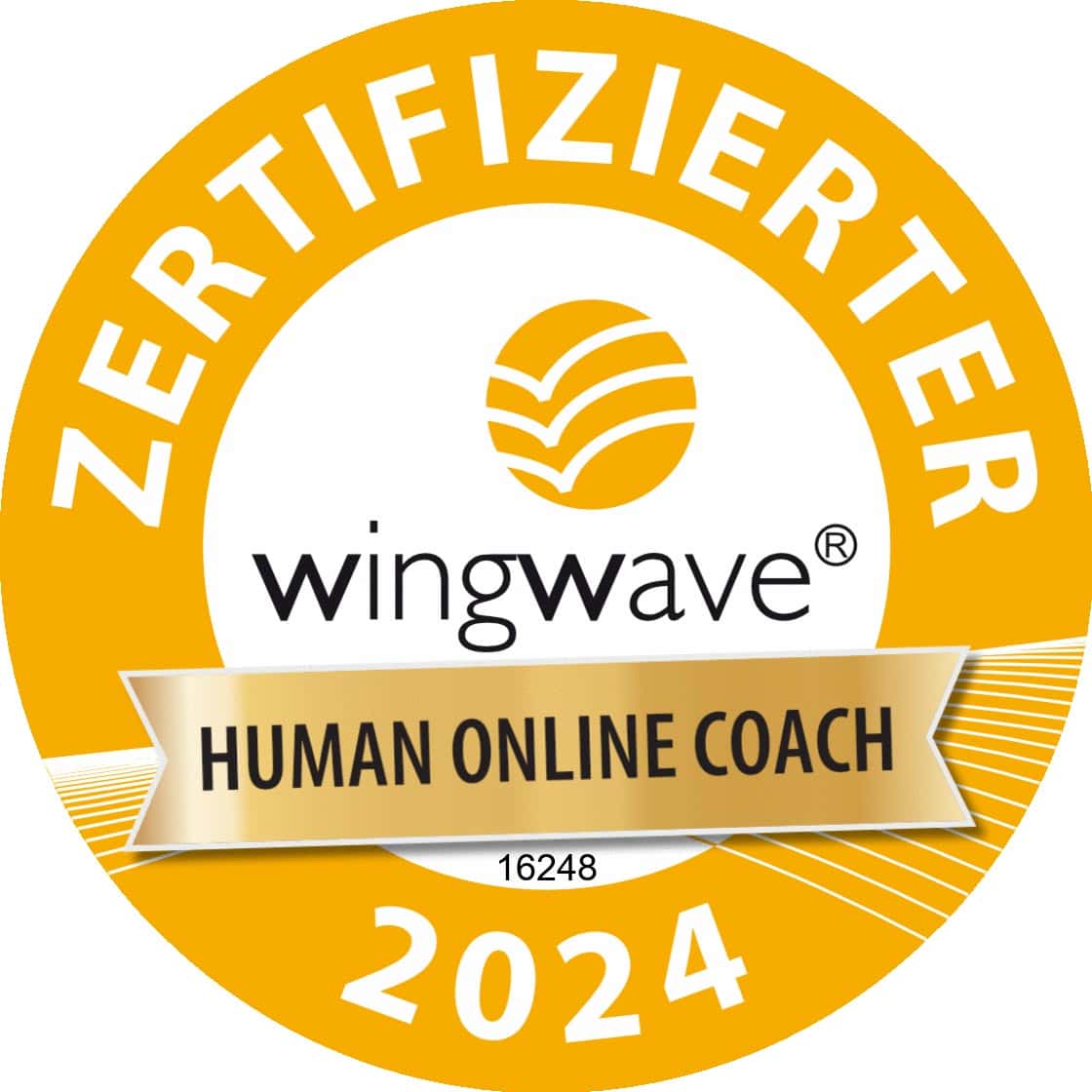 Human online coach 2024